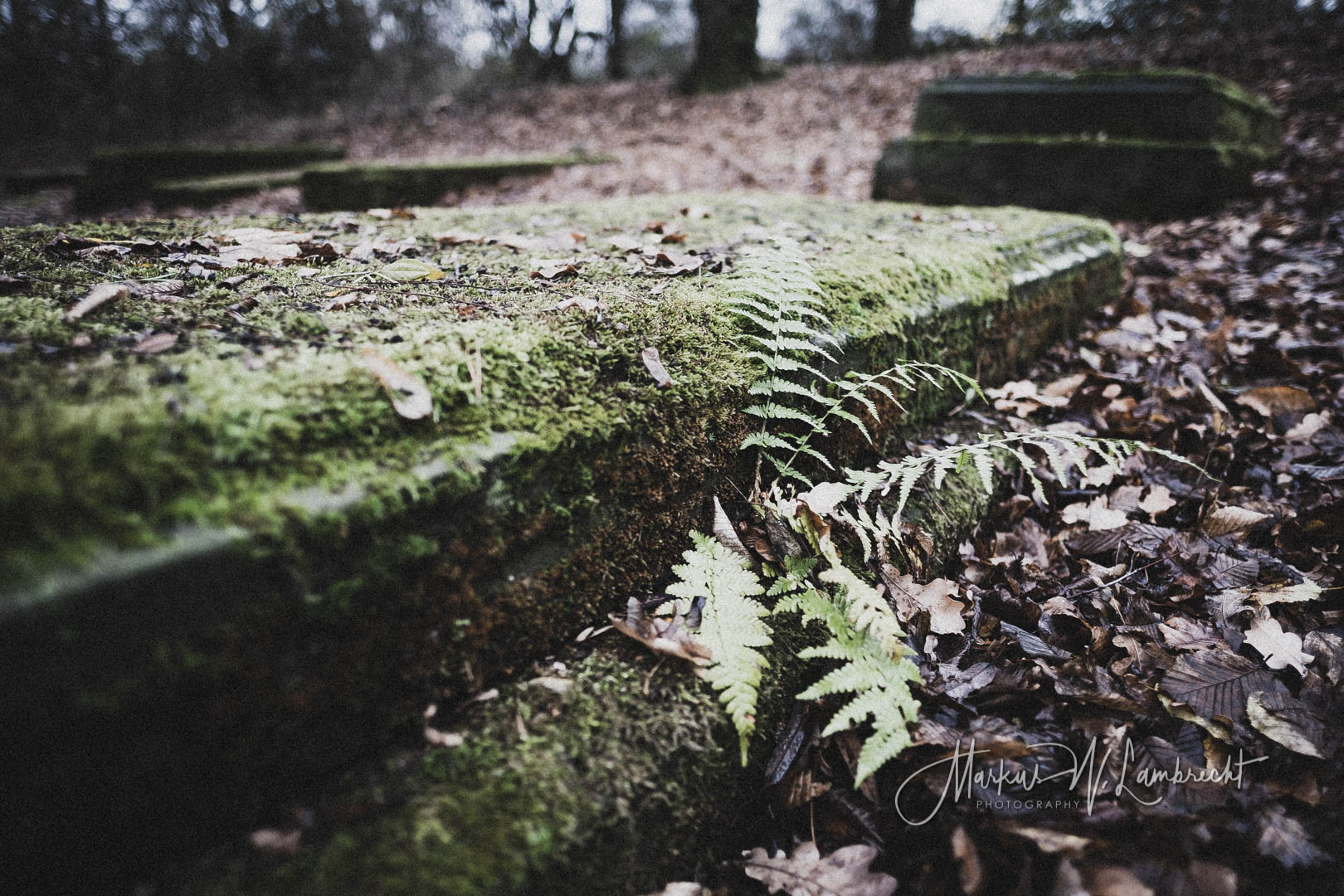 Bovenden, Jüdischer Friedhof